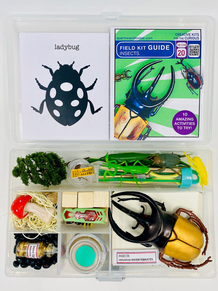 THE INSECT FIELD KIT.